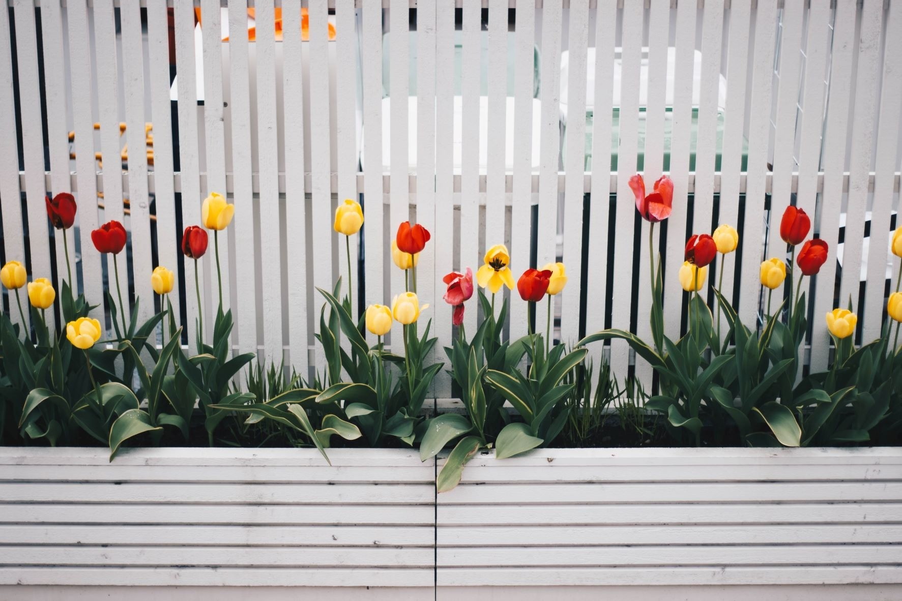 Privacy Fences in Sylvania Ohio